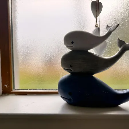 Дом отдыха Foyleview Point