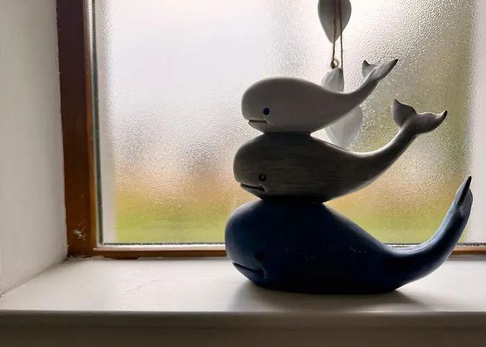 Semesterbostad Foyleview Point